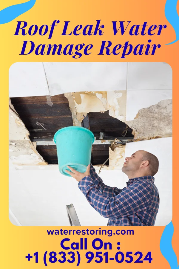 Roof Leak Water Damage Repair in Winfield, IA